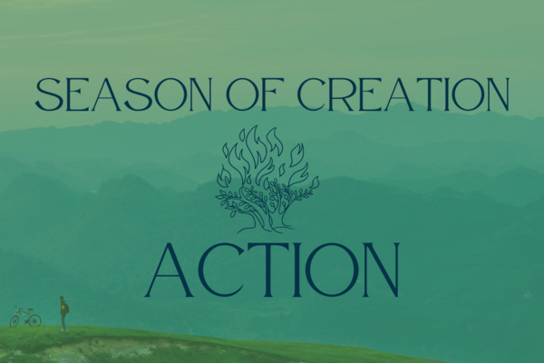 Season Of Creation Action