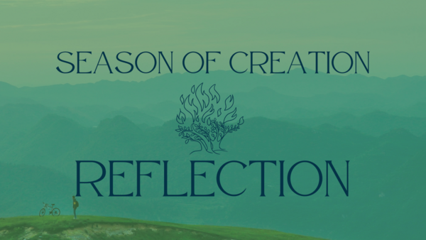 Season Of Creation Reflection